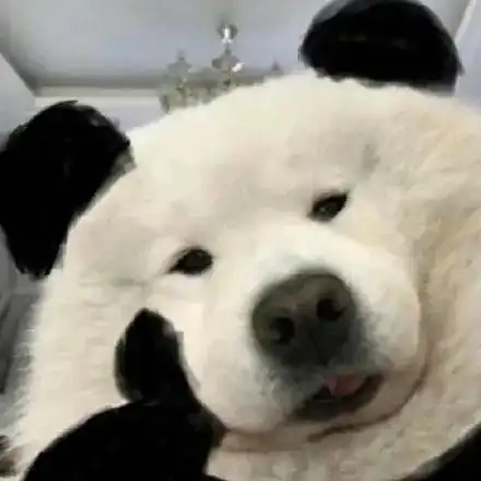  好看的朋友圈背景图