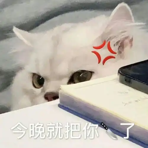 可爱喵咪表情包樱花
