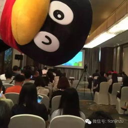  企鹅日记天津网红都来齐了,好大阵仗