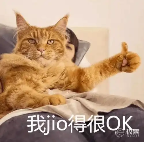  美国国宝级肌肉车国产了27万起售对标modely,看完配置我傻了......