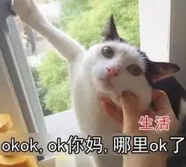 养鸡表情包高清狮猫