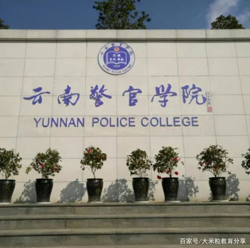 云南这所二本大学很低调,录取门槛不高,但毕业生容易成为公务员