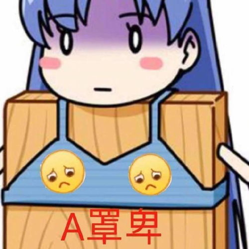 掀桌子表情包我不干了空