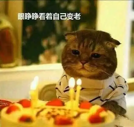  祝自己生日快乐表情包合集