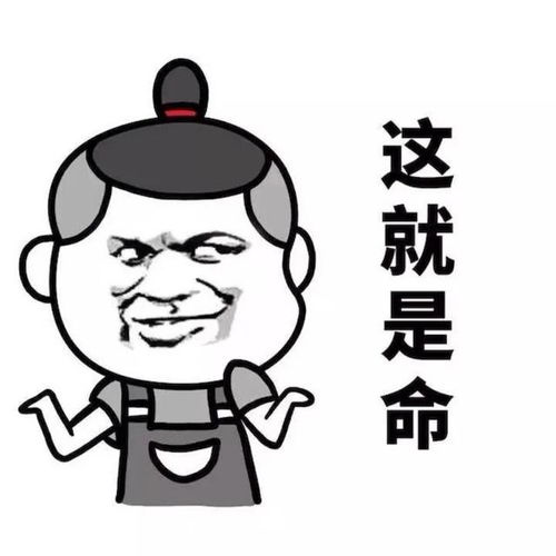  白高兴半天,你的朋友圈表情包功能被关闭了吗