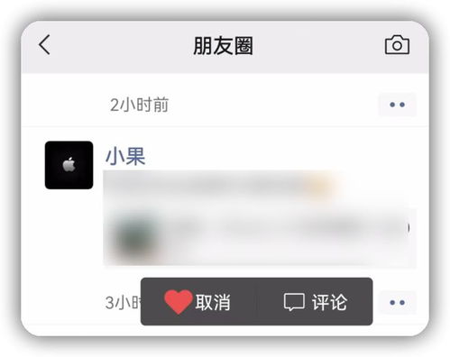  真实好看的花束微信头像大全2017显气质的真实花草微信头像