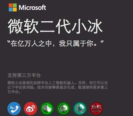  微软小冰怎么领养微软小冰升级教程