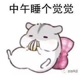  今天,老天给泉州送大礼了你收到了吗但,明起一大波雨水赶来