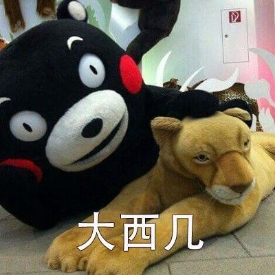  表情包丨动物园里有什么哈哈哈哈