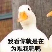  舒淇偷师郑秀文戒盐27年,成功练就不胖体