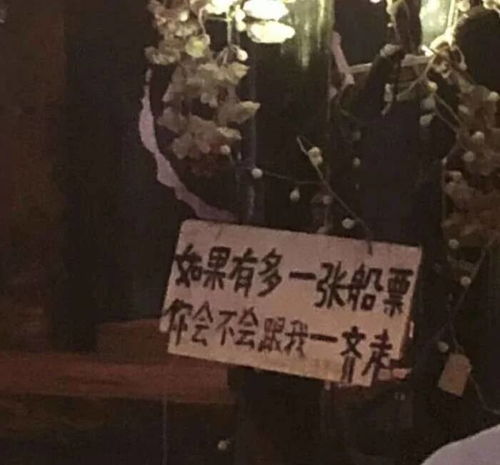  小众高级背景图分享自取