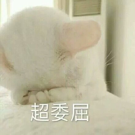  可爱萌委屈表情包