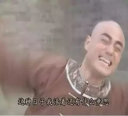 鼓足勇气表情包赵已然