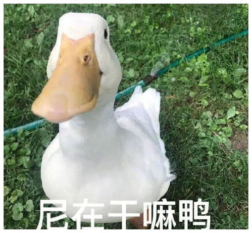  千万别小看安检人员的心理素质否则
