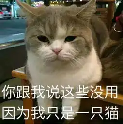  疑似出轨原来是乌龙是洗白还是真情,张丹峰这事你怎么看