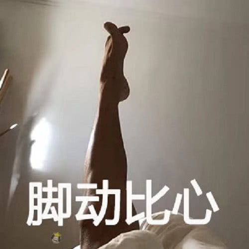  斗图王者专属沙雕表情,皮到不能自主呼吸,威力伤害太大了