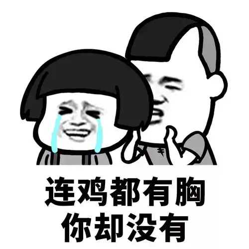  5.13什锦表情包