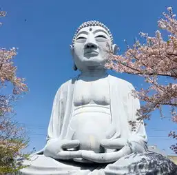  日本奇观墨镜大佛网友我佛慈悲且时髦