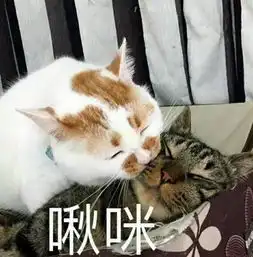 一只白猫旁边一个问号的