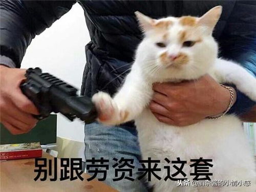  赌瘾上头是什么感受因为贪念才去赌,一有贪念就会必输