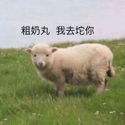  表情包我掐指一算,你五行里不缺我就是缺表情包