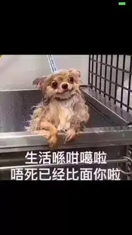  微信重磅更新可以自拍表情包了这五大改动很多人还不知道
