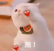  撒娇猫咪表情包给你个机会偷亲我
