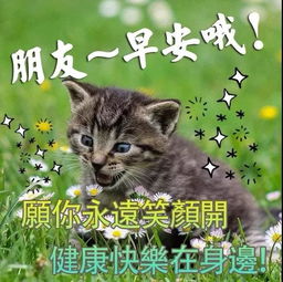  2018最新版早上好问候动态表情图片最美早安问候动态图片带字