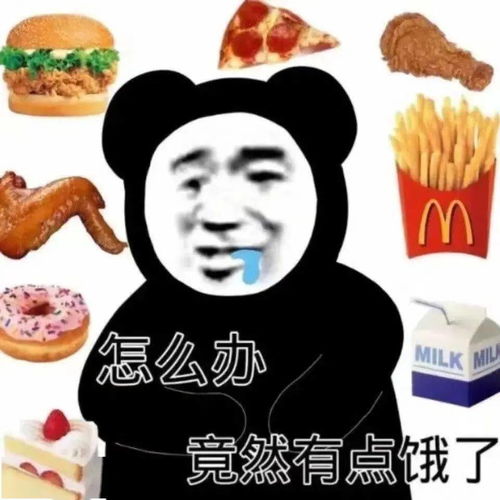  每日精选表情包