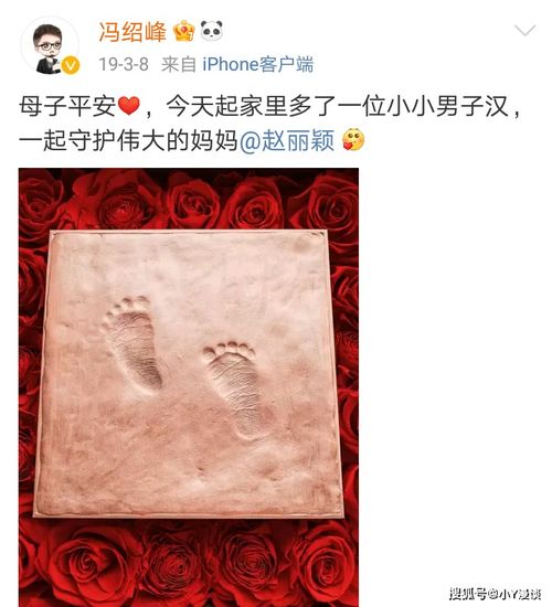  继吴京儿子吴所谓之后,赵丽颖儿子名字被曝光,网友真随意