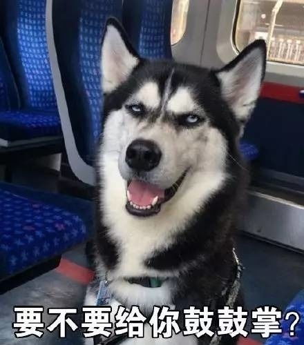  的相册