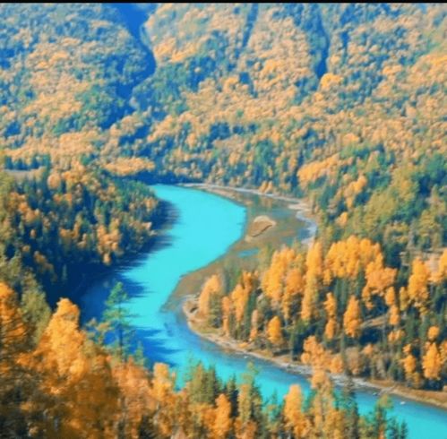  喀旅转扩政府优惠补贴不止19.9,喀纳斯可可托海景区旅游直通车来啦
