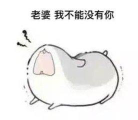  开心一刻哄老婆必备表情包你值得拥有