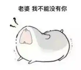 花花给你的表情包糖糖