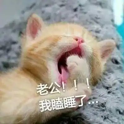  表情包老婆专用表情包,老公