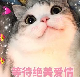  等待绝美爱情表情包图片大全