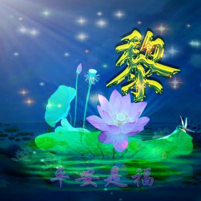 最吉利的花草头像icon