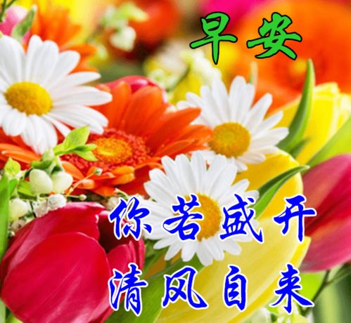  7月12日最漂亮早上好动态表情图片大全,早晨好动图美图大全