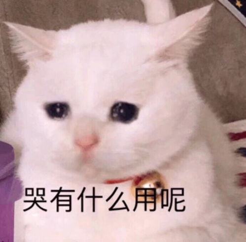  男朋友被安排了小姐