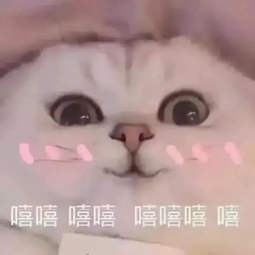 银狼舔屏表情包