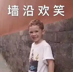  很多网友想看表情包,今天它来了别问落地价,因为斗图无价