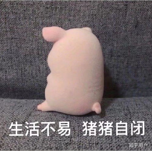  大学生线上期末考试双机位怎么解