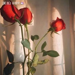  独笙的美拍