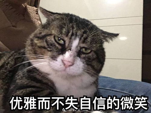  职侦1601班艾滋病预防教育辩论赛预告