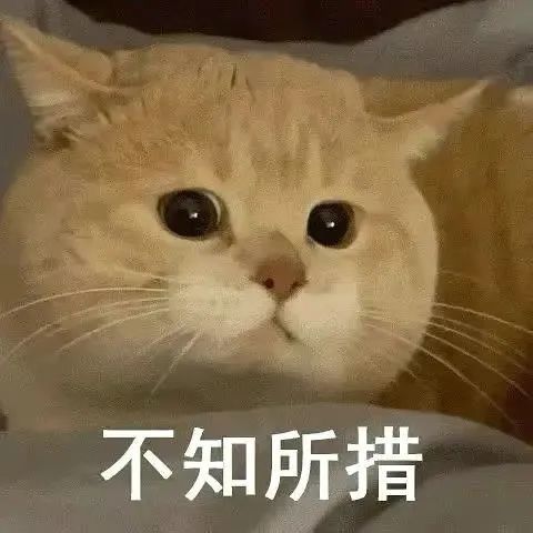  表情包不知所措