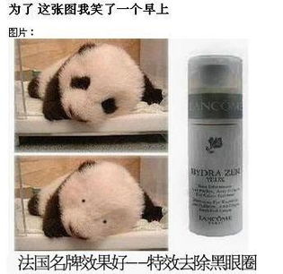  大家收藏的搞笑qq表情