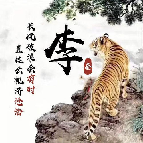 吴姓微信头像十二生肖