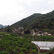  东瓜林自然村