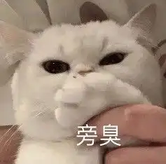  小猫咪的爱啊,啾咪啾咪丨表情包