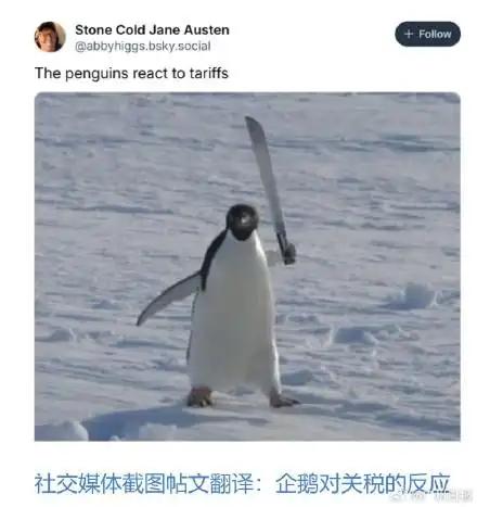  企鹅税成全球网友恶搞对象,调侃美国对企鹅征税荒诞举动